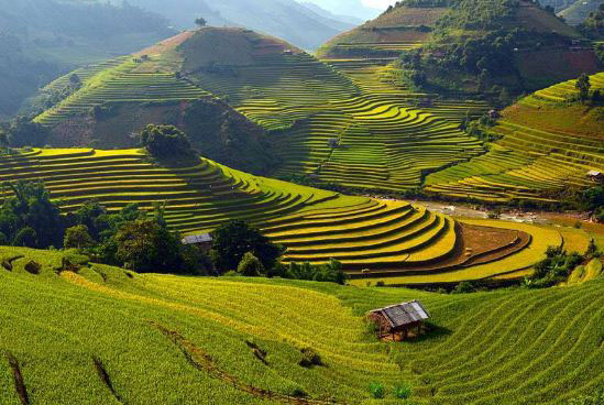 Muong-Hoa-valley-Sapa-Vietnam-1